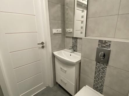 960D8863-6F6E-402D-8DF5-C9D58022BEA2.jpeg | Pronájem bytu, 1+1, 36 m²