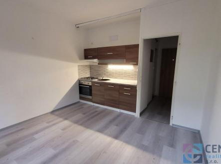 20220815_180852.jpg | Pronájem bytu, 1+1, 36 m²