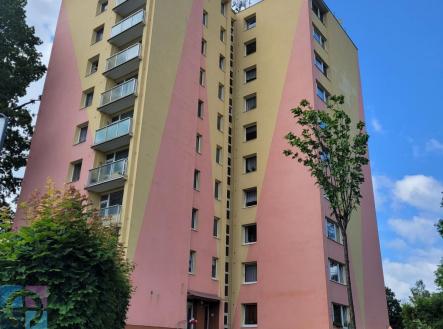 20250624_101045.jpg | Pronájem bytu, 1+1, 35 m²