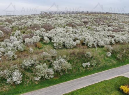 Obrázek k zakázce č.: 714022 | Prodej - pozemek, ostatní, 1 850 m²