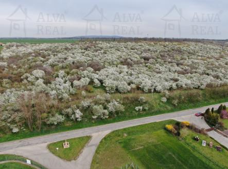 Obrázek k zakázce č.: 714022 | Prodej - pozemek, ostatní, 1 850 m²
