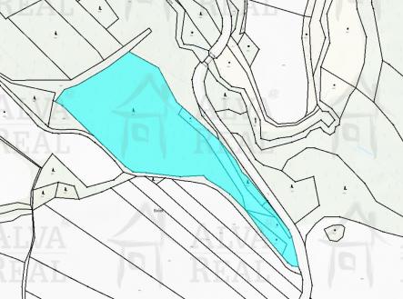 Obrázek k zakázce č.: 722852 | Prodej - pozemek, les, 24 443 m²