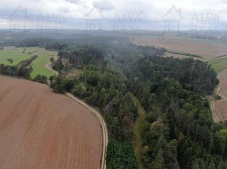 Obrázek k zakázce č.: 722852 | Prodej - pozemek, les, 24 443 m²