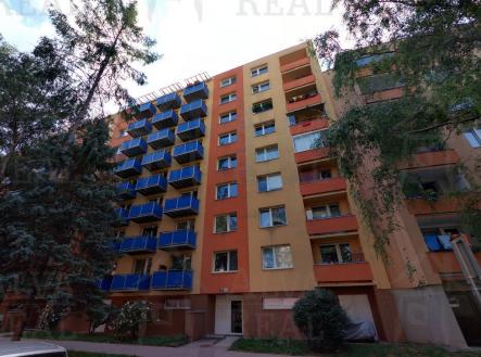 Obrázek k zakázce č.: 722962 | Pronájem bytu, 1+1, 31 m²