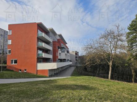 Obrázek k zakázce č.: 726731 | Pronájem bytu, 2+kk, 73 m²