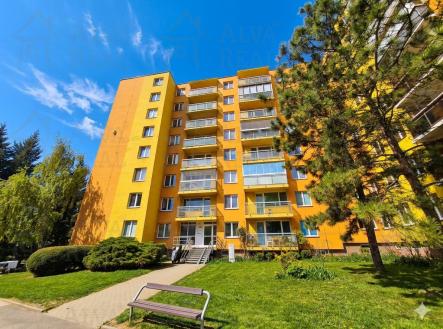 Obrázek k zakázce č.: 728771 | Prodej bytu, 1+kk, 38 m²