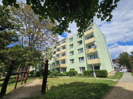 Obrázek k zakázce č.: 732151 | Prodej bytu, 2+1, 56 m²