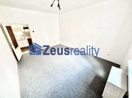 foto: 4 | Pronájem bytu, 1+kk, 26 m²