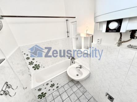 foto: 4 | Pronájem bytu, 1+1, 47 m²