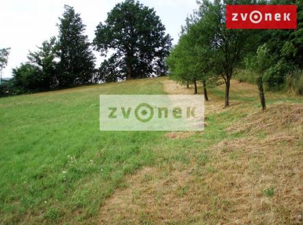 Obrázek k zakázce č.: 507983 | Prodej - pozemek, trvalý travní porost, 7 426 m²