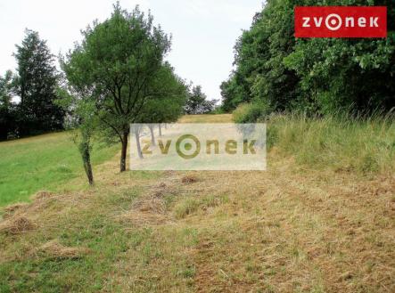 Obrázek k zakázce č.: 507983 | Prodej - pozemek, trvalý travní porost, 7 426 m²