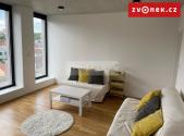 Pronájem bytu, 1+kk, 42 m²