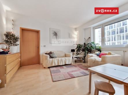 Obrázek k zakázce č.: 466555 | Pronájem bytu, 2+kk, 58 m²