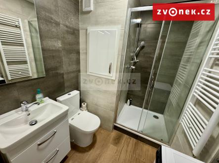 Obrázek k zakázce č.: 697516 | Pronájem bytu, 2+1, 45 m²