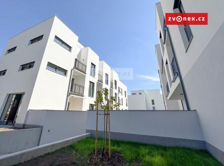 Obrázek k zakázce č.: 702226 | Pronájem bytu, 2+kk, 55 m²