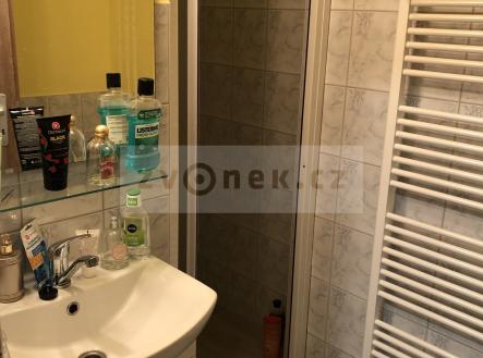 Obrázek k zakázce č.: 635301 | Pronájem bytu, 1+kk, 28 m²