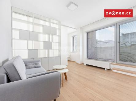 Obrázek k zakázce č.: 695666 | Pronájem bytu, 1+kk, 28 m²