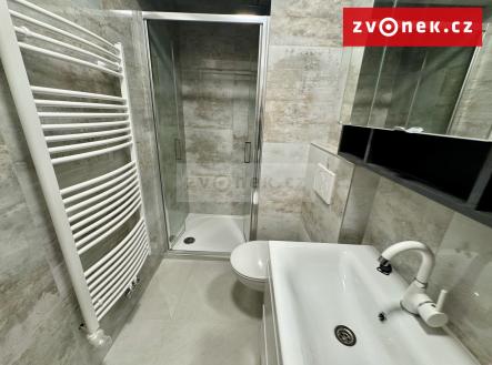 Obrázek k zakázce č.: 710492 | Pronájem bytu, 2+kk, 55 m²