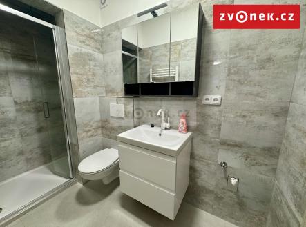 Obrázek k zakázce č.: 710492 | Pronájem bytu, 2+kk, 55 m²