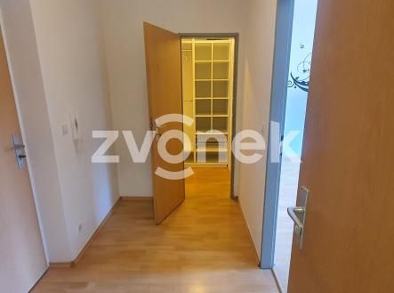Obrázek k zakázce č.: 715652 | Pronájem bytu, 1+kk, 51 m²