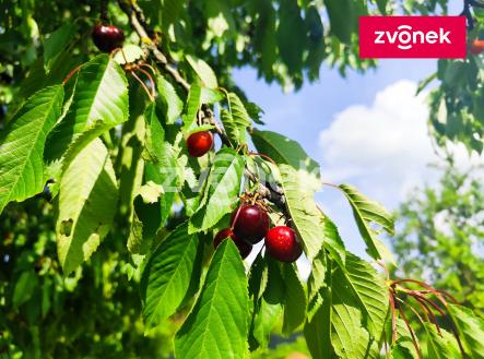 Obrázek k zakázce č.: 717042 | Prodej - pozemek, zahrada, 1 386 m²