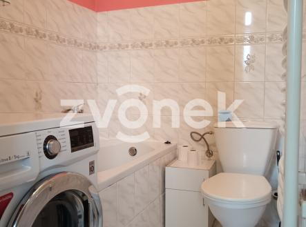 Obrázek k zakázce č.: 717192 | Pronájem bytu, 3+kk, 65 m²