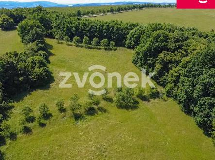 Obrázek k zakázce č.: 713992 | Prodej - pozemek, trvalý travní porost, 7 426 m²