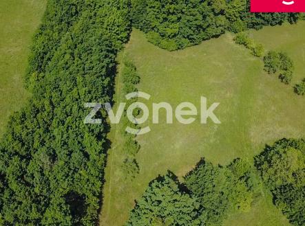 Obrázek k zakázce č.: 713992 | Prodej - pozemek, trvalý travní porost, 7 426 m²