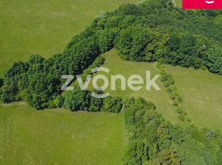 Obrázek k zakázce č.: 713992 | Prodej - pozemek, trvalý travní porost, 7 426 m²