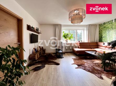 Obrázek k zakázce č.: 721432 | Pronájem bytu, 2+1, 60 m²