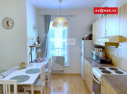 Obrázek k zakázce č.: 572233 | Pronájem bytu, 1+kk, 47 m²