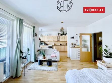 Obrázek k zakázce č.: 572233 | Pronájem bytu, 1+kk, 47 m²