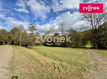 Obrázek k zakázce č.: 723111 | Prodej - pozemek, trvalý travní porost, 4 884 m²