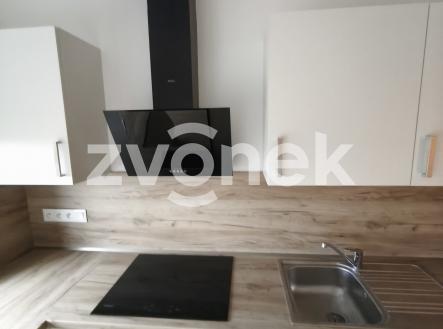 Obrázek k zakázce č.: 723321 | Pronájem bytu, 2+kk, 66 m²