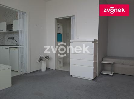 Obrázek k zakázce č.: 719432 | Pronájem bytu, 1+1, 33 m²