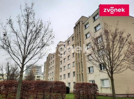 Obrázek k zakázce č.: 724441 | Pronájem bytu, 1+1, 35 m²