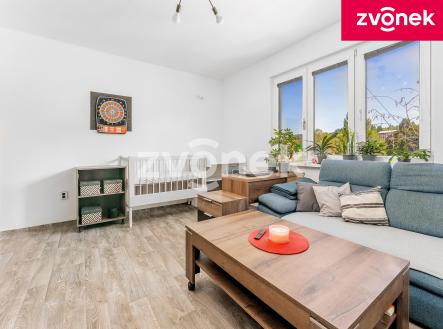 Obrázek k zakázce č.: 724971 | Pronájem bytu, 2+1, 59 m²