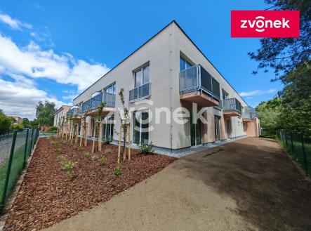 Obrázek k zakázce č.: 716632 | Pronájem bytu, 2+kk, 40 m²