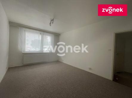 Obrázek k zakázce č.: 725351 | Pronájem bytu, 1+kk, 41 m²
