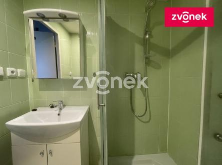 Obrázek k zakázce č.: 725351 | Pronájem bytu, 1+kk, 41 m²