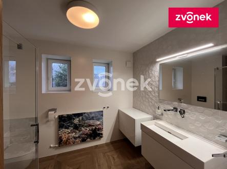 Obrázek k zakázce č.: 721432 | Pronájem bytu, 2+1, 60 m²