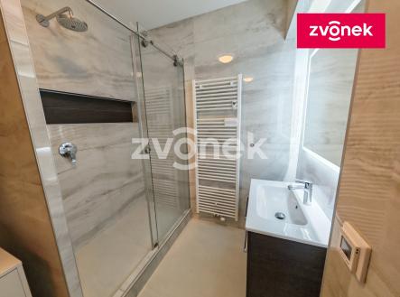 Obrázek k zakázce č.: 727351 | Pronájem bytu, 3+kk, 55 m²