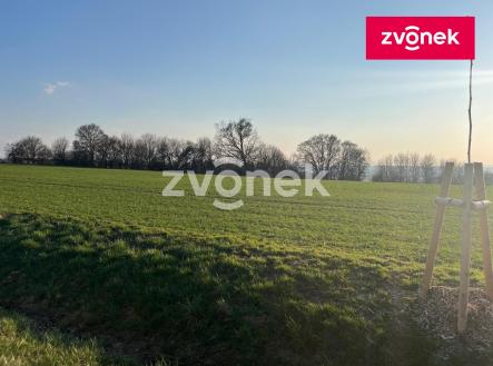 Obrázek k zakázce č.: 729131 | Prodej - pozemek, zemědělská půda, 10 196 m²