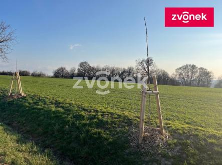 Obrázek k zakázce č.: 729131 | Prodej - pozemek, zemědělská půda, 10 196 m²