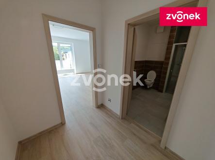 Obrázek k zakázce č.: 729821 | Pronájem bytu, 1+kk, 36 m²