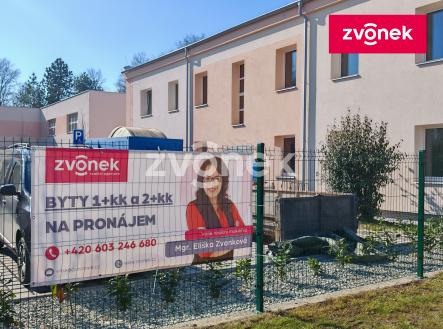 Obrázek k zakázce č.: 729841 | Pronájem bytu, 1+kk, 40 m²