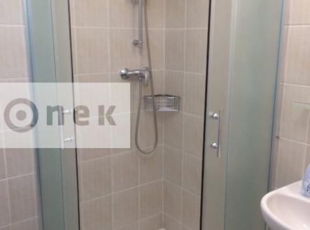 Obrázek k zakázce č.: 565433 | Pronájem bytu, 2+1, 60 m²