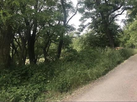 14.jpg | Prodej - pozemek pro bydlení, 2 500 m²