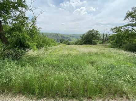 Prodej - pozemek pro bydlení, 2 500 m² obrázek