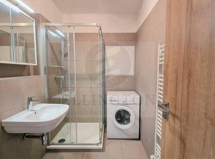 20220526_133610.jpg | Pronájem bytu, 1+kk, 33 m²